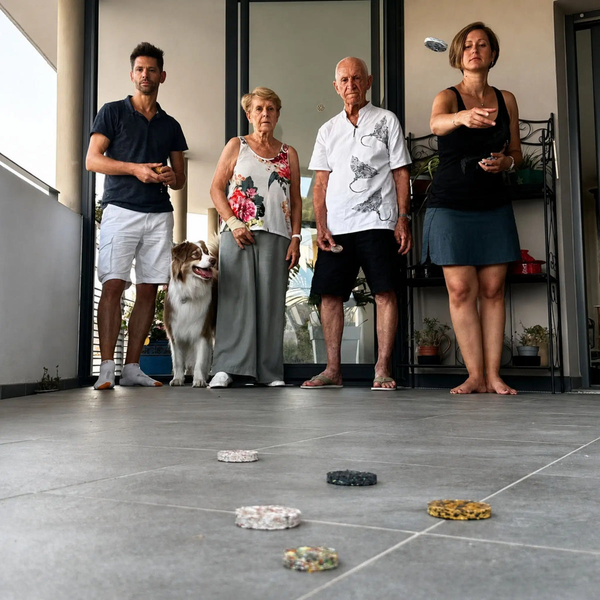 jeu de palets d'inetrieur